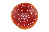 POLYSTONE MUSHROOM 15X15X16CM