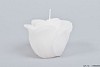 KAARS ROOS WIT 8X7CM