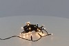 LED VERLICHTING BUITEN 40-LAMPS
