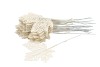 PICK ESDOORNBLAD GLITTER WIT 9X9X22CM PER 25 STUKS