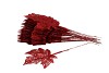 PICK MAPLE LEAF GLITTER RED 9X9X22CM SET OF 25