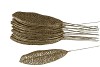 PICK OVAL LEAF 14X6CM ON WIRE GOLD L25CM SET OF 25