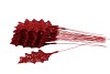 PICK HOLLY LEAVES 9X6CM RED L21CM SET OF 25