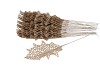 PICK HOLLY LEAVES 15X9CM CHAMPAGNE L27CM SET OF 25