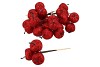 PICK APPLE PIN 3-ON WIRE 9X9CM RED L20CM SET OF 24