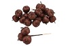 PICK APPLE PIN 3-ON WIRE 9X9CM BROWN L20CM SET OF 24