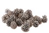 NATUR TANNENZAPFEN WHITEWASH PRO 10 KILO