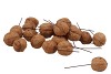 PICK WALNUT ON A WIRE SET OF 70