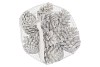 NATURE POMMES DE PIN CIRE BLANC PAR 12 PIÈCES