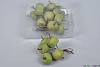 APPLE PIN FROST GREEN 15X5CM SET OF 20