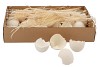 COQUILLE D'OEUF POULE BLANC PAR 80 PIÈCES