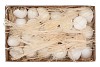 COQUILLE D'OEUF POULE BLANC PAR 80 PIÈCES