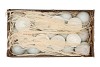 ENTE EIERSCHALE NATUREL

