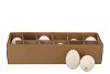 EGGS TRUTHAHN AUSGEBLASEN PRO 12 STÜCK