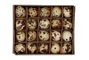 EGGS QUAIL NATURAL 2.5X3.5CM SET OF 60