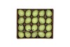 EGGS QUAIL APPLE GREEN SET OF 60