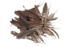 KALKOEN VEREN BRUIN PER 45 GRAM