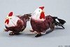 ROOSTER/CHICKEN ON A CLIP 11CM SET OF 2