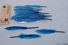 FEATHERS BLUE 15CM SET OF 15
