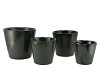 ALICANTE VERT FONCÉ POT 13X12CM