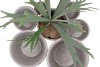 CONCRETE GREY POT ROUND 19X19CM