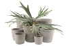 CONCRETE POT ROUND GREY 21X21CM NM