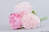 SILK PIVOINE BOUQUET 3-BRANCHES ROSE/ROSE CLAIR 32CM