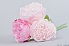 SILK PEONY BOUQUET 3-BRANCHES PINK/LIGHT PINK 32CM