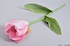 FRENCH TULIP PINK L70CM