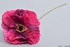 SILK KORNROSE DUNKELROSA 60CM