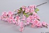 PRUNUS BRANCHE ROSE L129CM