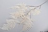 SILK ASPARAGUS BRANCH CREAM L125CM