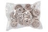 NATURE PALM MULE BLANC PAR 10 PIÈCES