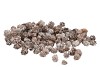 NATURE PINE CONE MINI WHITE 2-3CM A BAG
