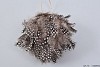 FOWL FEATHERS HANGER NATURAL 10CM