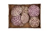 URCHIN ALFONSO 8X8CM SET OF 9