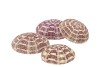 URCHIN ALFONSO 8X8CM SET OF 9