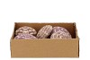 URCHIN ALFONSO 8X8CM SET OF 9