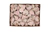 SHELL BARNACLE MINI A 380 GRAM