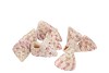 SHELL BARNACLE MINI A 380 GRAM
