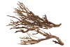 NATURE CURRY BUSH NATURRL P/500 GRAM