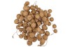 DRY PLATANE GOUD PER BUNDEL