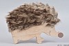 EGEL BONT 25X2X19CM