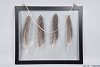 METAL FRAME + 4-FOWL FEATHERS 35X30CM