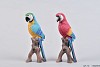 POLYSTONE PARROT 20CM ASSORTED A PIECE
