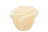 CANDLE ROOS IVORY 11X9CM NM
