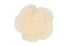 CANDLE ROOS IVORY 11X9CM NM