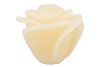 CANDLE ROOS IVORY 14X12CM NM