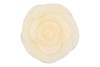 CANDLE ROOS IVORY 14X12CM NM