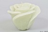 CANDLE ROSE MINT GREEN 14X12CM